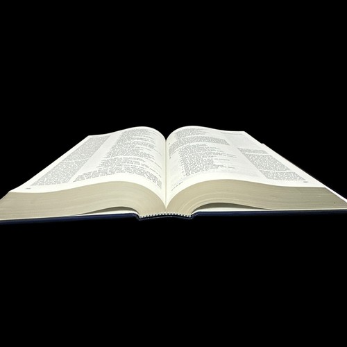 NIV Serendipity Bible for Study Groups 1989 Revised Second Ed. Lyman Coleman HC - Picture 11 of 14