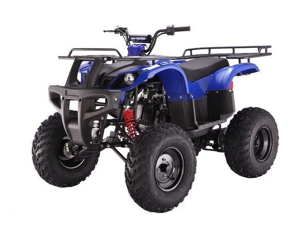 Taotao ATV Plastic Body BULL Utility 150cc 150D 200cc 250D