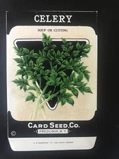 1920s Litho Antique Vintage Card Seed Co. Packet Pack Celery soup for cutting