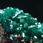 DIOPTASE - Reneville - Republic of Congo AS37