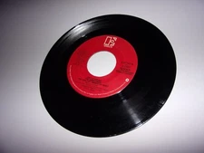 Joey Scarbury: Theme From Greatest American Hero / That Little Bit Of Us / 45Rpm