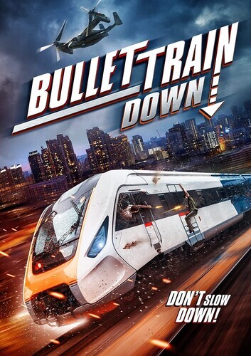 BULLET TRAIN DOWN BULLET TRAIN DOWN