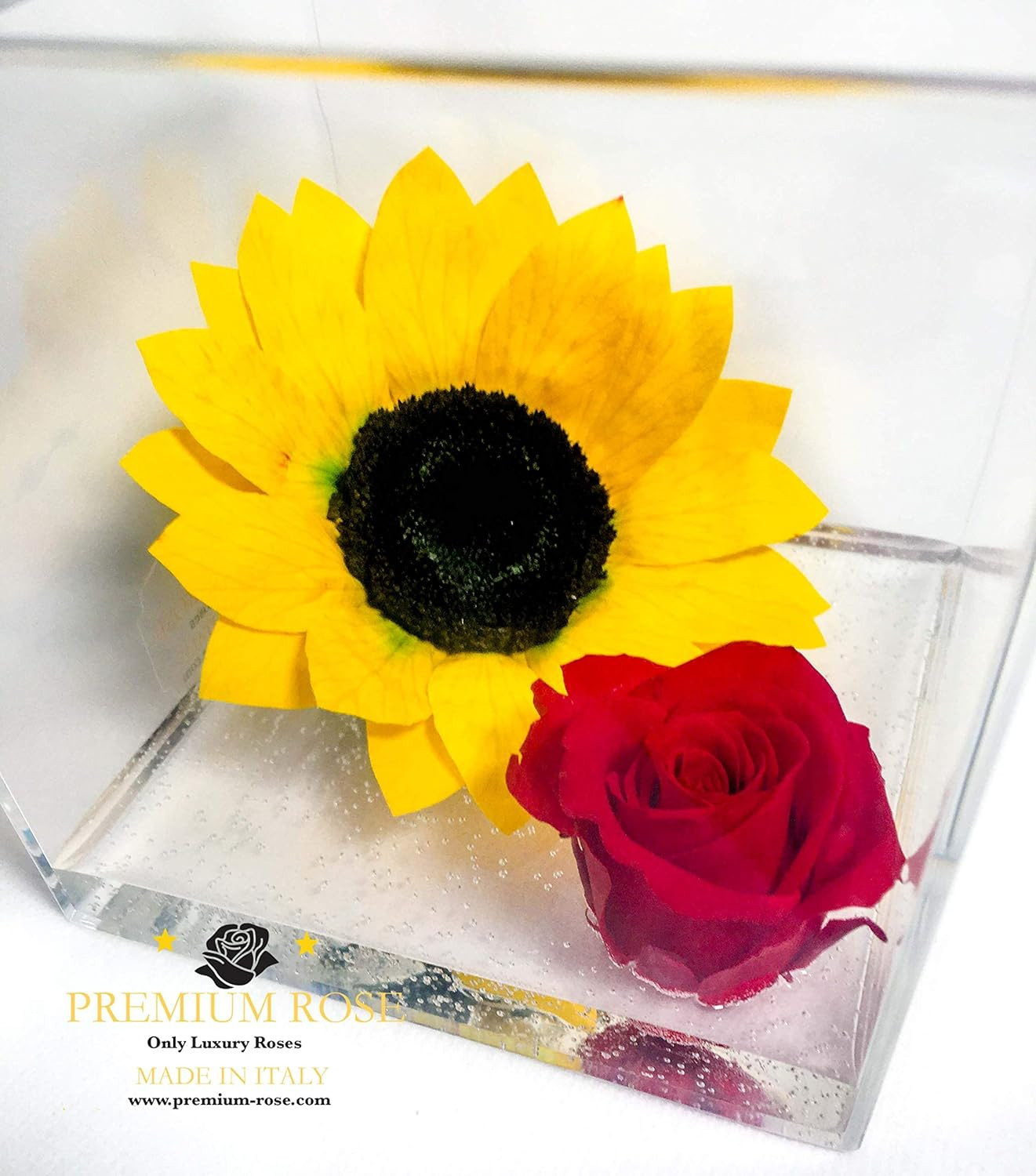 Rosa Eterna Rossa con Girasole PREMIUMROSE Cubo 12cm Idea Regalo