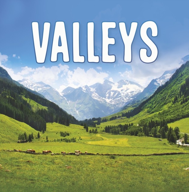 Valleys by Lisa J Amstutz PAPERBACK 9781398202818