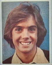 Original Vintage 1977 Shaun Cassidy Hardy Boys Fan Club Iron On Transfer