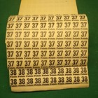 Foto 19 di 21