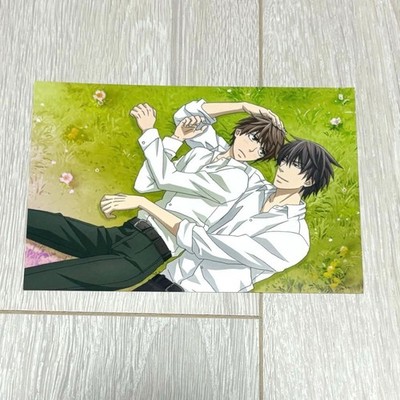 Sekai Ichi Hatsukoi Proposal Edition Movie Bonus Postcard