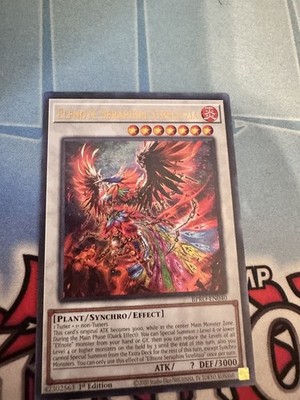 Yu-Gi-Oh! Elfnote Seraphim Strelitzia BPRO-EN040 Ultra Rare 1st Ed