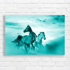 Beautiful Horses Of Different Breeds Canvas Print Large Picture Wall Art