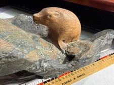SYCAMORE ANTIQUE/VINTAGE SEAL SCULPTURE ON ROCK-CARMEL BY THE SEA CRAFT CORNER