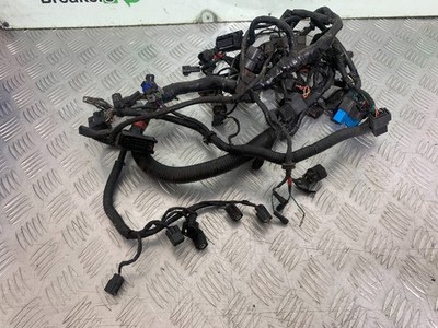 Triumph Tiger 800 XRT Kabelbaum 2018-2020 (CMB1193)