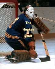Buffalo SABRES Roger CROZIER #1 Custom LAB Action 8X10 Superb RAZOR Sharp L@@K!!