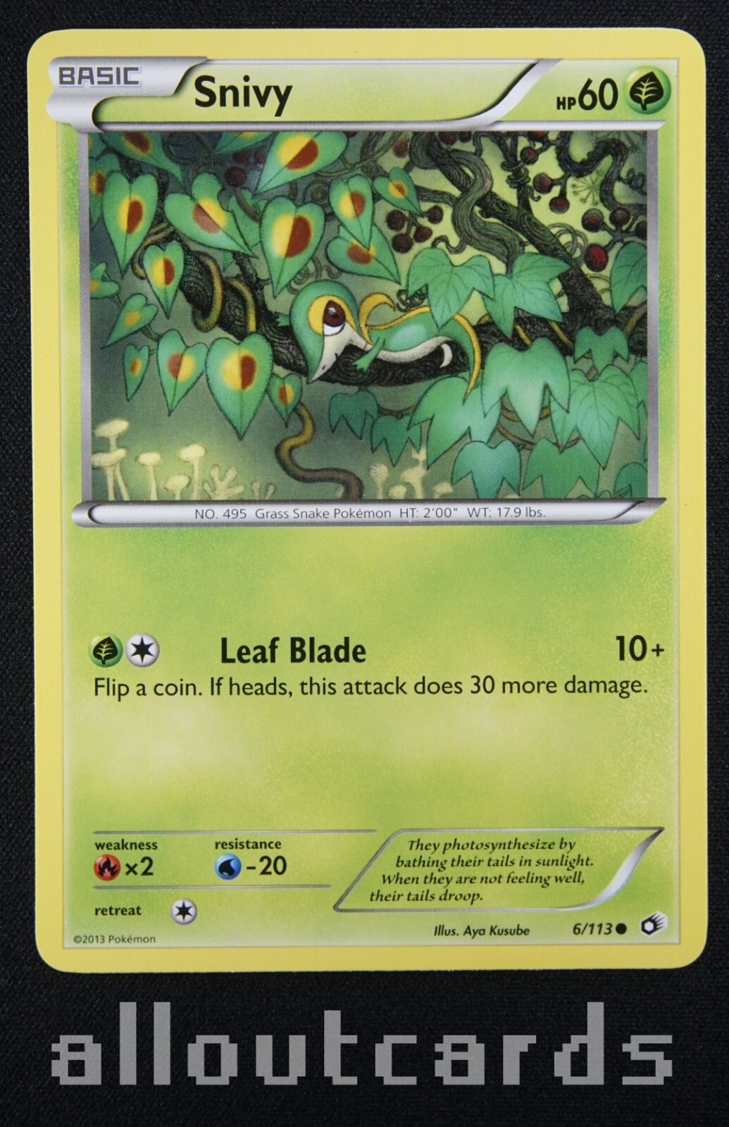 2013 Pokémon Black & White Legendary Treasures Snivy 6/113 NM/M