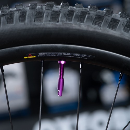 Valvole Oxford Tubeless 48mm GRIGIO CANNONE Lega VALVOLE MTB/ROAD BICI - Foto 4 di 6