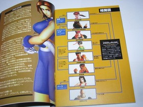 Dead or Alive Sega Saturn Perfect Guide Book Japan import US Seller