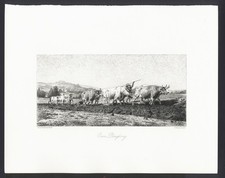 BUOI CHE PLANO I CAMPO, by R. Bonheur, 1874 engraving + passepartout