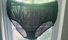 Vintage Hanes Nylon Briefs 100 Nylon Sissy Granny Panties Sz12