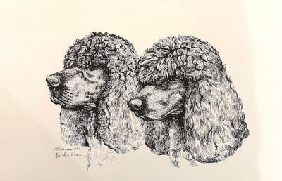 Irish Water Spaniel print by Van Loan 11 x 17 signed