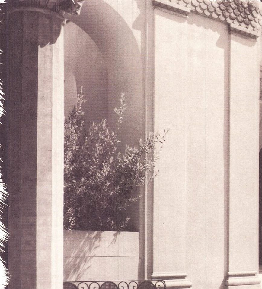 Litografía Offset 1996 ALAN BLAUSTEIN Park Presidio FIRMADA 20" X 16" Fotografía Foto 3 de 4