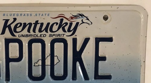 Vanity SPOOKE SPOOKY license plate Scary Terrified Afraid Ghost Eerie Mysterious - Foto 6 di 12