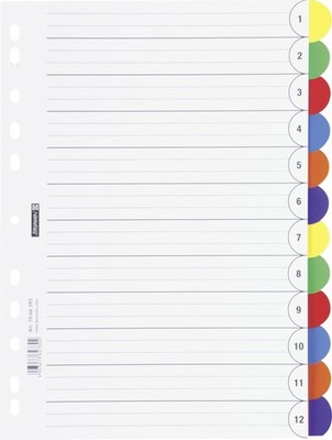 Brunnen Folder/Ring Binder Office to go/PP/A4 225 x 297 mm Pack of 12 1 12-teili