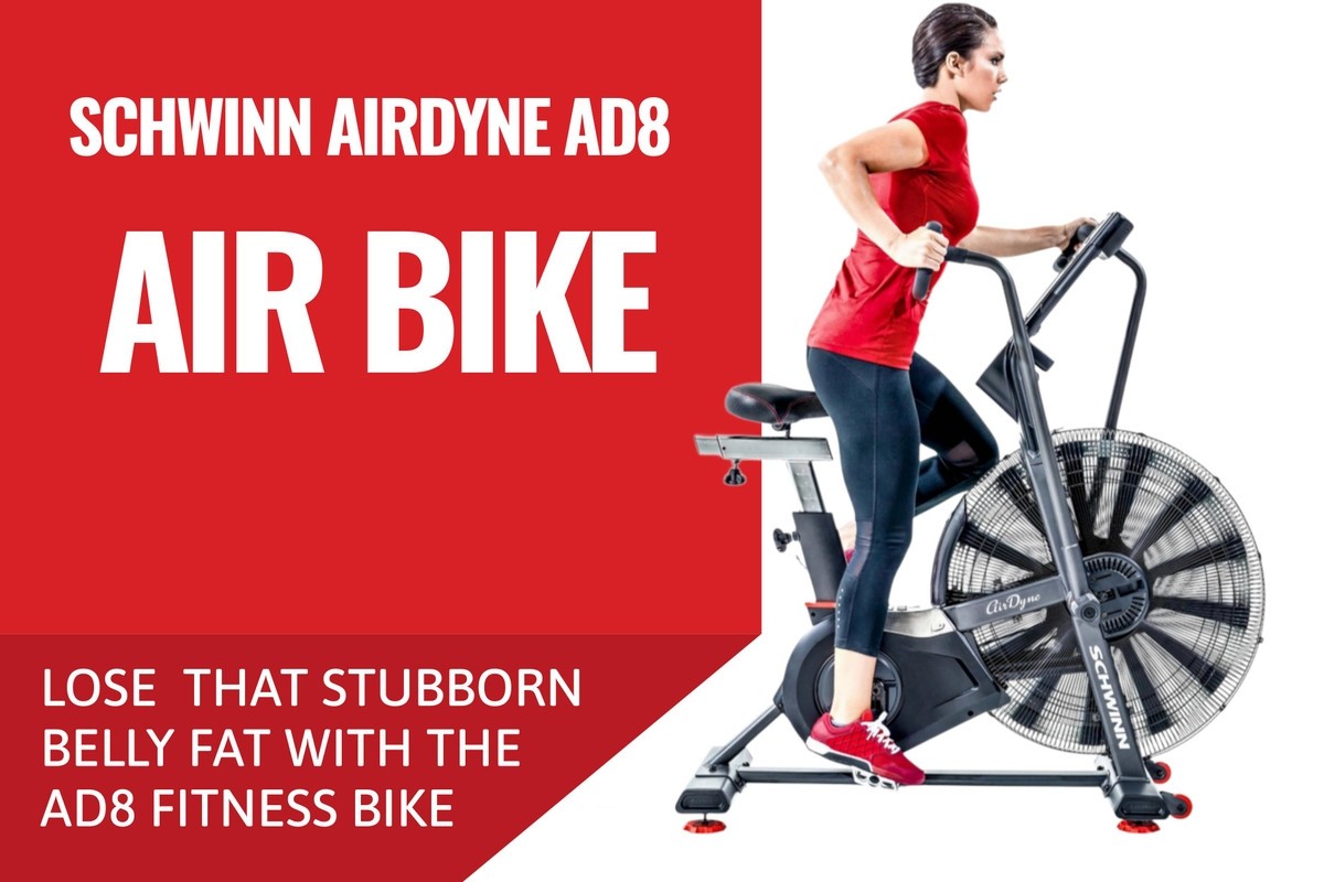 Schwinn Ad8 Pro Airdyne Ad8 Review Schwinn Full Commercial Airdyne