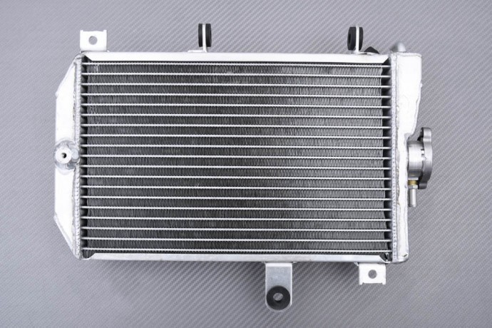 Radiateur d'eau racing en aluminium pour Suzuki Burgman 650 2013-2018