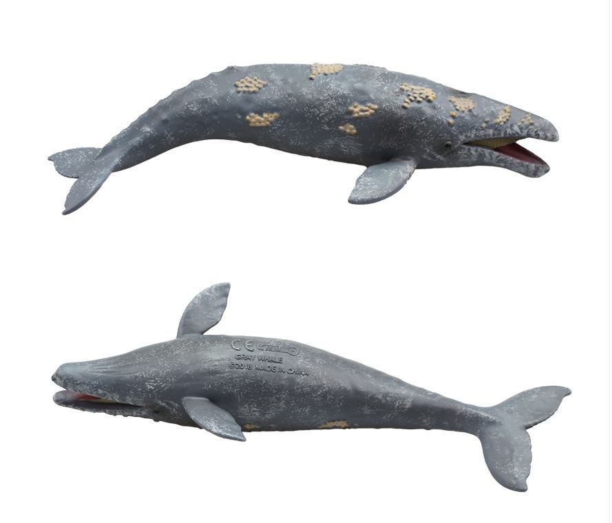 Gray Grey Whale Sealife Toy Model Figure by CollectA 88836 Brand New eBay