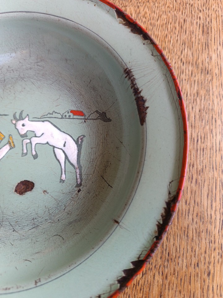 Assiette Gobelet Bébé Enfant Drexler 1950 - Tôle émaillée Motif Oie Nain Et Fleurs