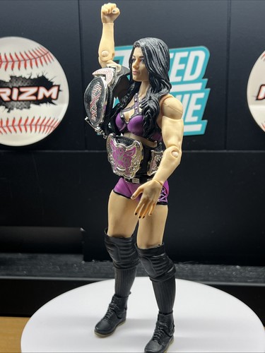 2014 WWE WWF Mattel Paige Elite Women Wrestling Figure Series 34 Diva NXT titles - Bild 18 von 21