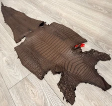 BROWN Genuine Caiman Crocodile belly Hide Leather Skin real alligator Croc 486