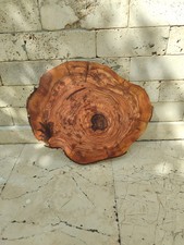 Live Edge Olive Wood Slab for Epoxy