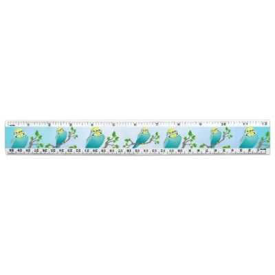 Parrot Ruler Pretty Parakeet Budgie 12 Inch Standard and Metric Plastic Ruler | eBay