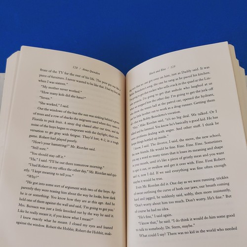 BLACK AND BLUE A NOVEL HARDCOVER BY ANNA QUINDLEN AUTHOR OF ONE TRUE THING - 第 4/5 張圖片