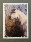 Foto 12 di 134