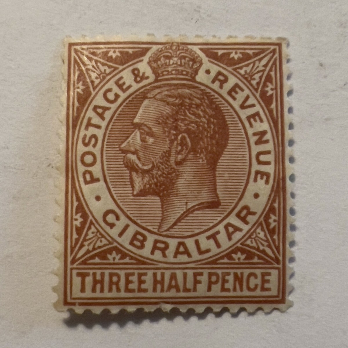 Gibraltar SC-1316 - Timbre 13" 16 Rangées - Accessoire Batterie