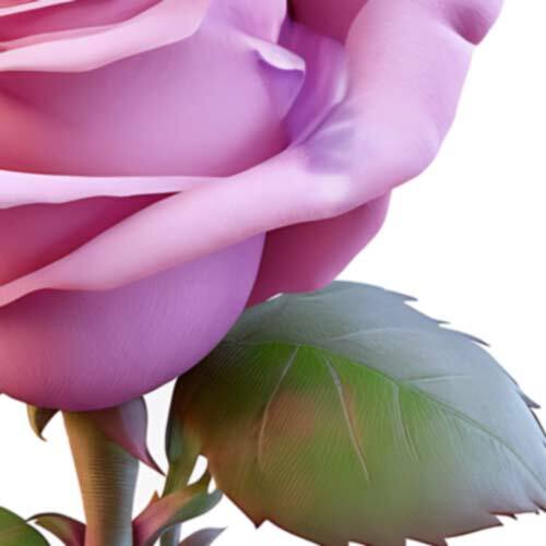 Pink Rose - Flower Stickers Cute Fuchsia Flowery Decals
