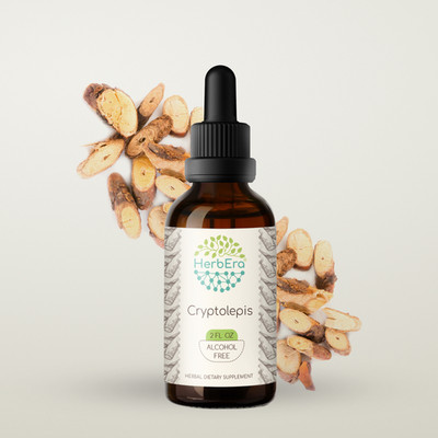 HerbEra Cryptolepis Herbal Extract Tincture (Cryptolepis sanguinolenta)