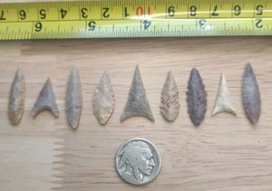 Neolithic Period Bird Arrowheads Sahara Africa 6 Willow Leaf 3 Triangular Nice 