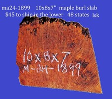 Maple Burl Block DIY Craft Wood Turning Block ma24-1899