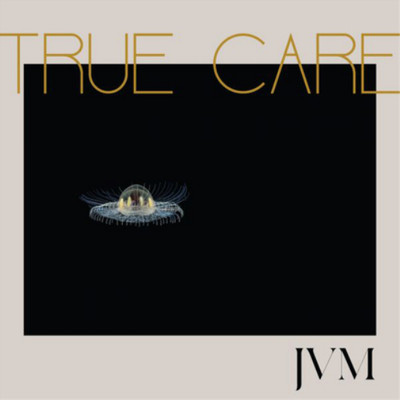 James Vincent McMorrow True Care (Vinyl) 12'' Album