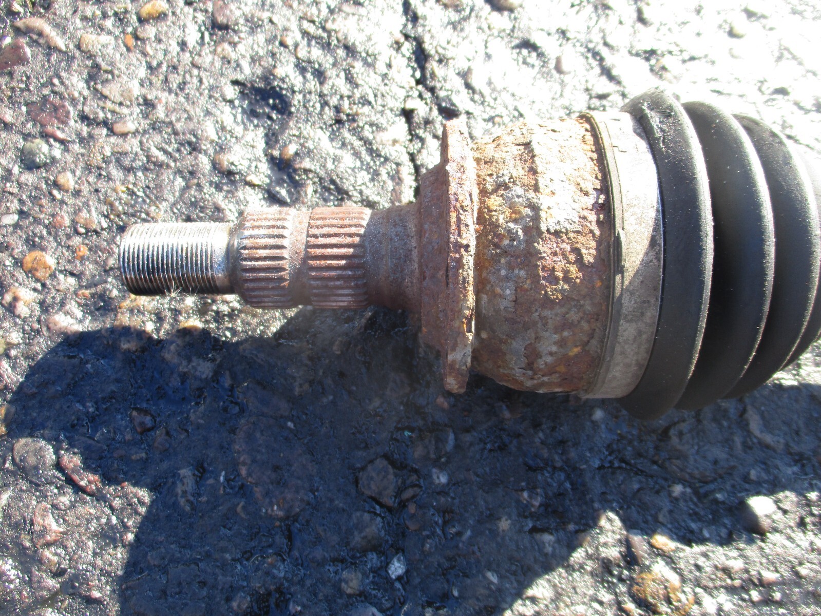 Picture 3 of 6