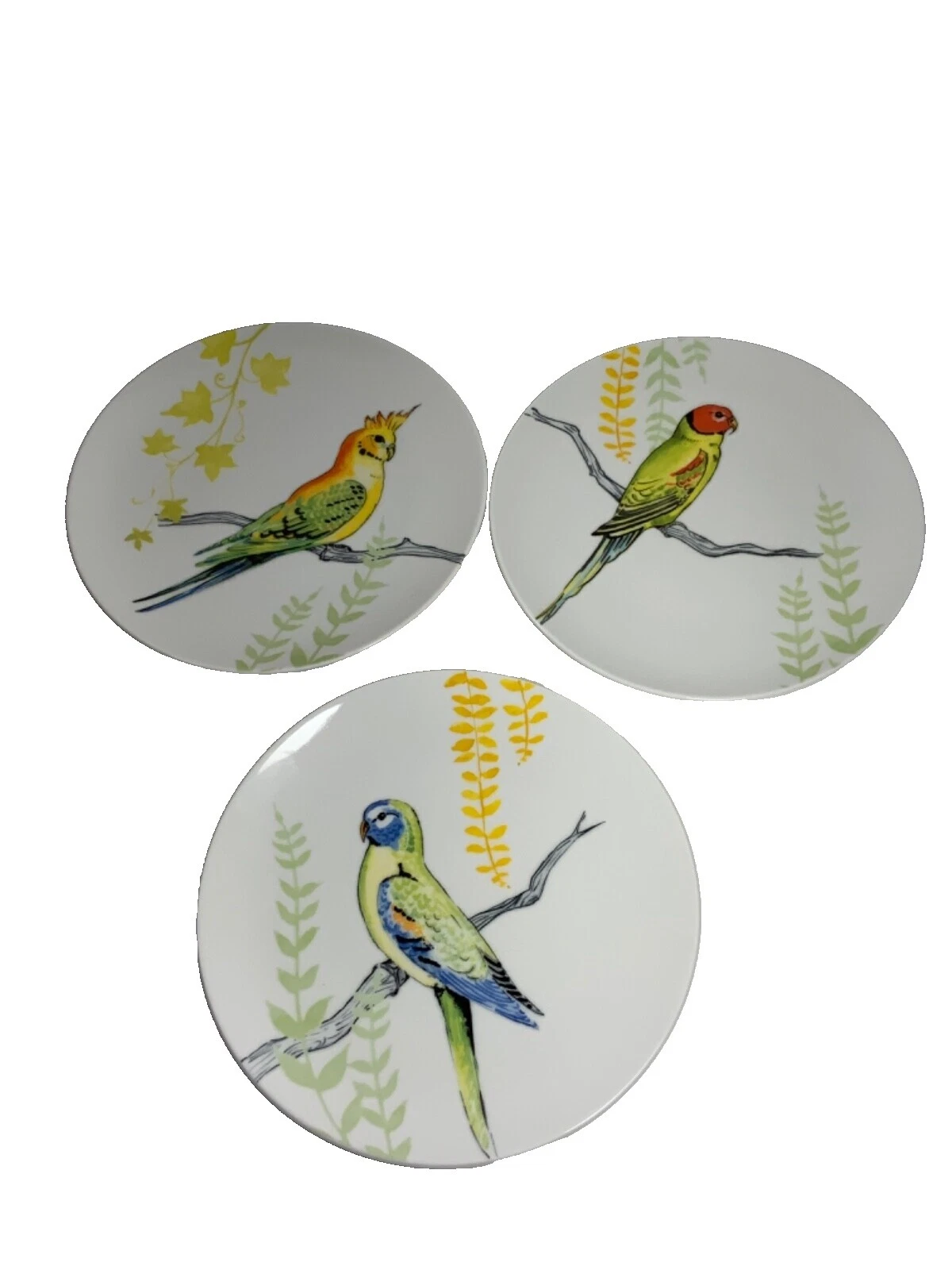 Anthropologie Ceramic Dinnerware Plates