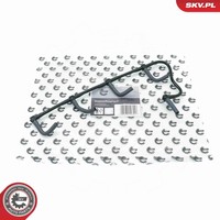 Esen Skv Schlauch Leckkraftstoff 54SKV333 Gummi FüR Renault Clio 2 Kangoo KW0 3