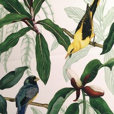 2 meters x OSBORNE & LITTLE "Michelia" Indoor/Outdoor fabric Exotic birds