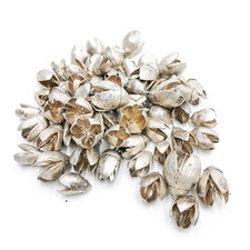 Silber-Bakuli - exotische Trockenfr&uuml;chte - 100 g