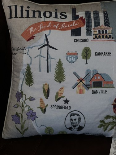 HAND Embroidered Throw Pillow ILLINOIS DOWN FILLED BEAUTIFUL! - Picture 10 of 12
