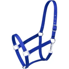 Tough 1 Economy Halter Royal Blue Pony