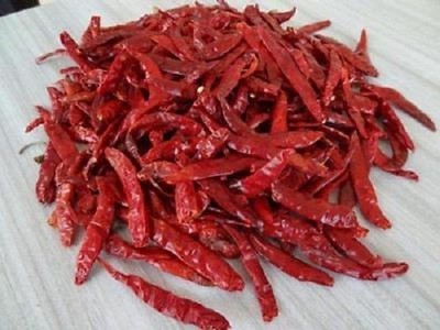 Orginal Famous Jodhpuri Mathania Red Chilli Whole, Lal Mirch Sabut/ FREE SHIP