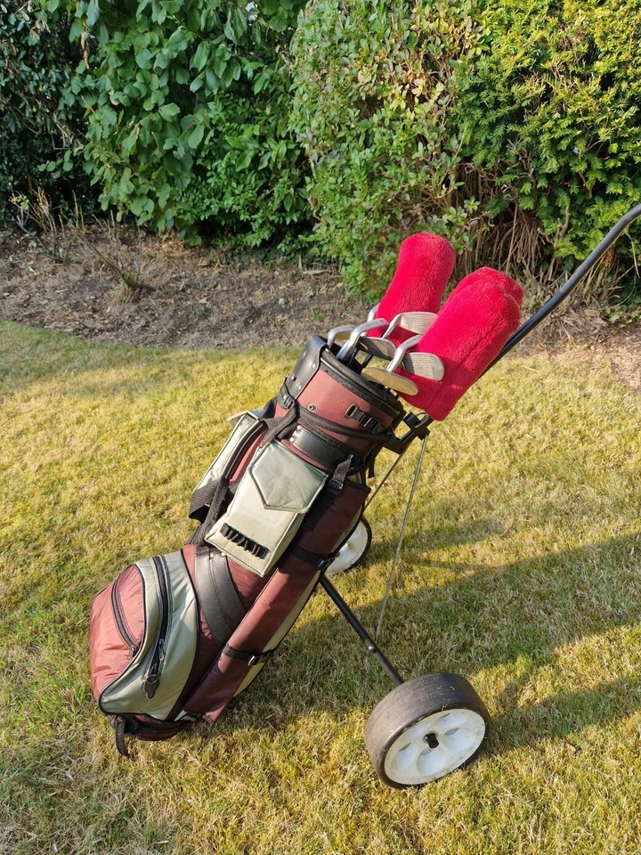 Golf Clubs (Full Set) including Controller Irons and Drivers eBay